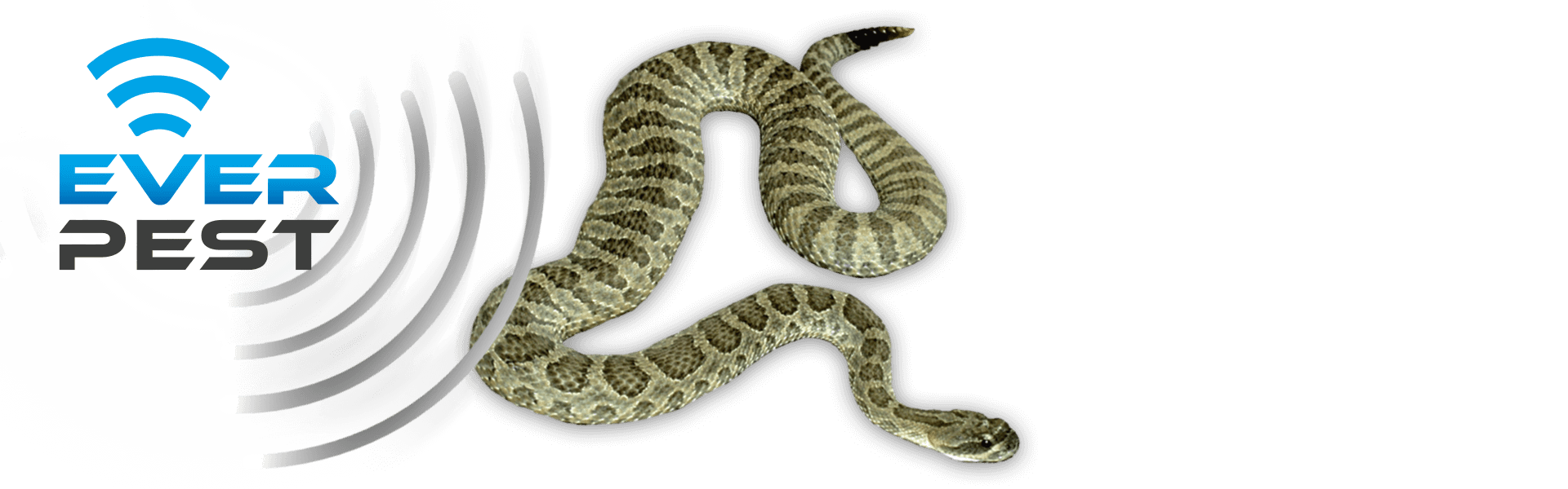 How to get rid of snakes